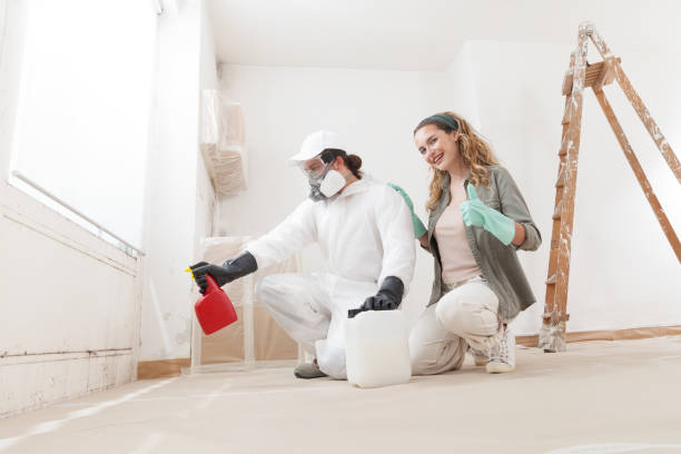 Trusted Royersford, PA Mold Inspection, Removal & Remediation Experts